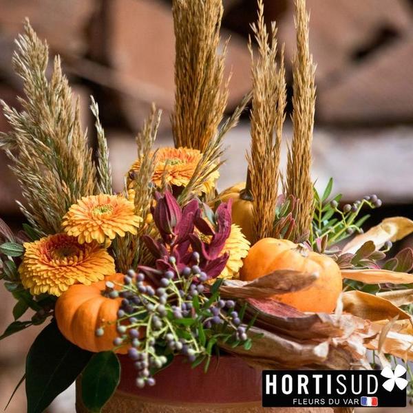 actualite-halloween-hortisud.jpg
