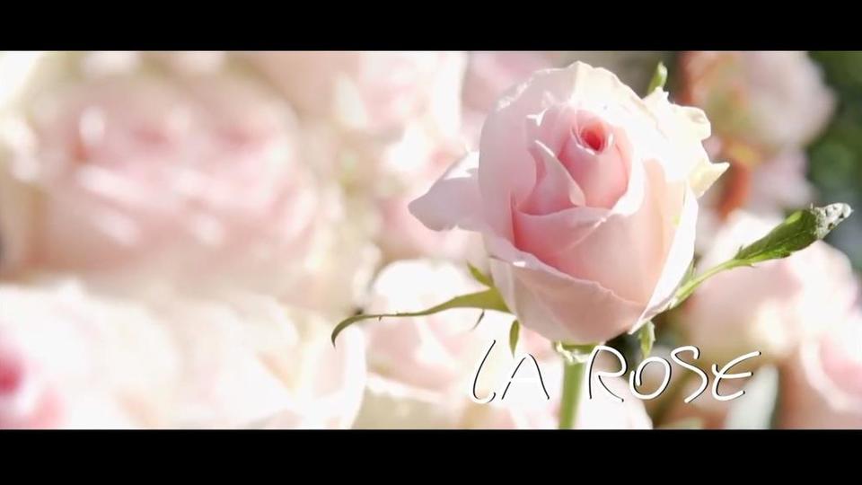 chap5_la-rose.JPG