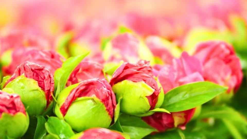 Design sans titre (14).jpg