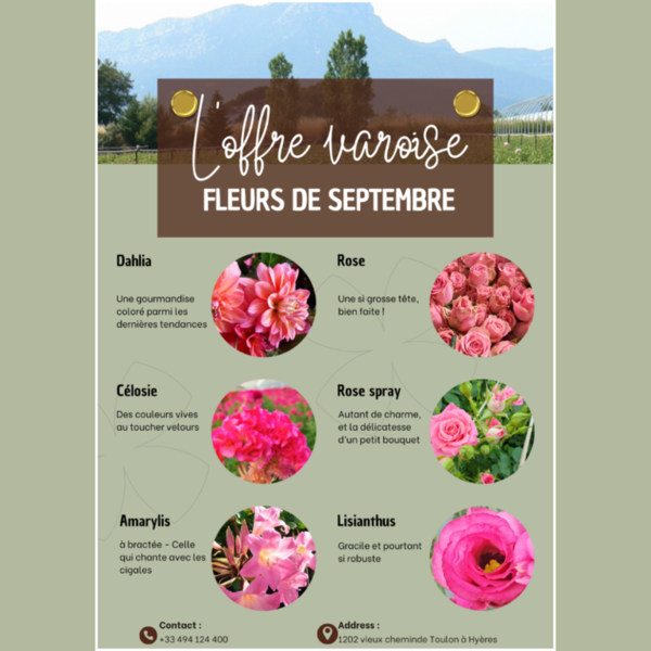 fleurs-de-saison-septembre-france.png