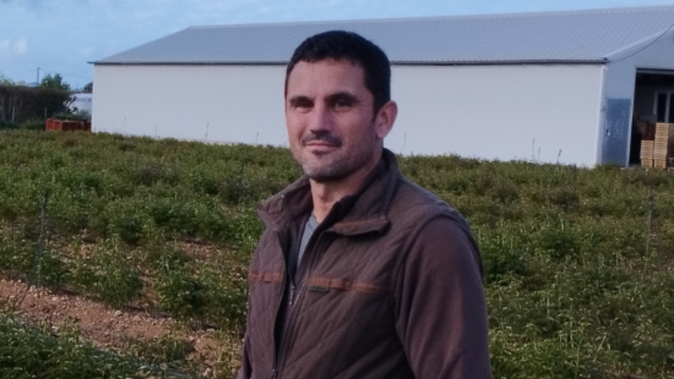 pivoine-producteur-lonjon