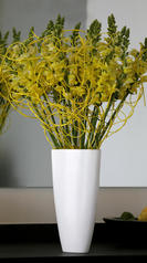 bouquet muflier.jpg