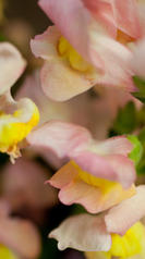 IMG_6741.jpg