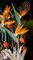 strelitzia bouquet