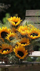 Tournesol chaise