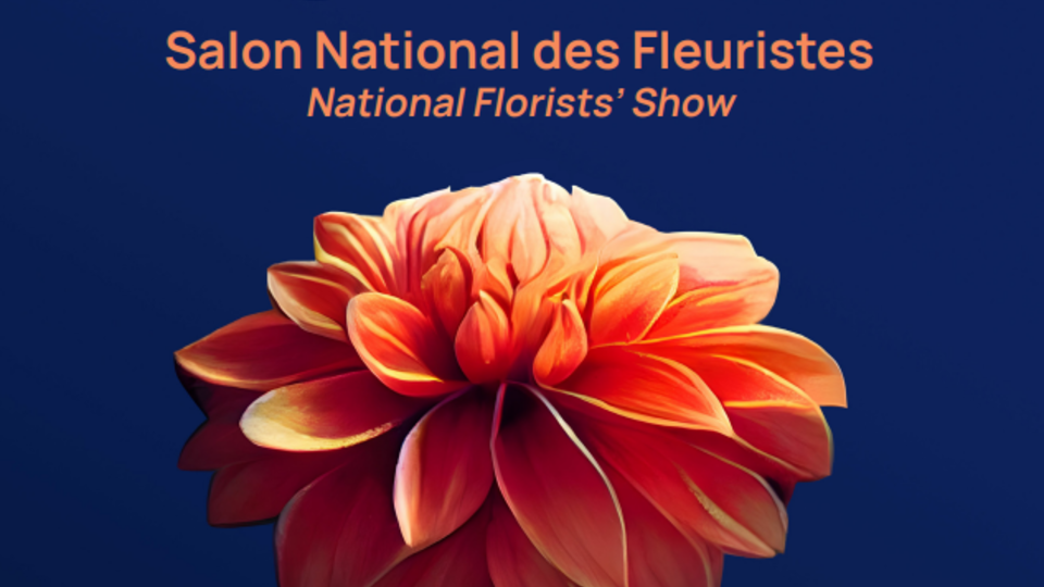salon novafleur