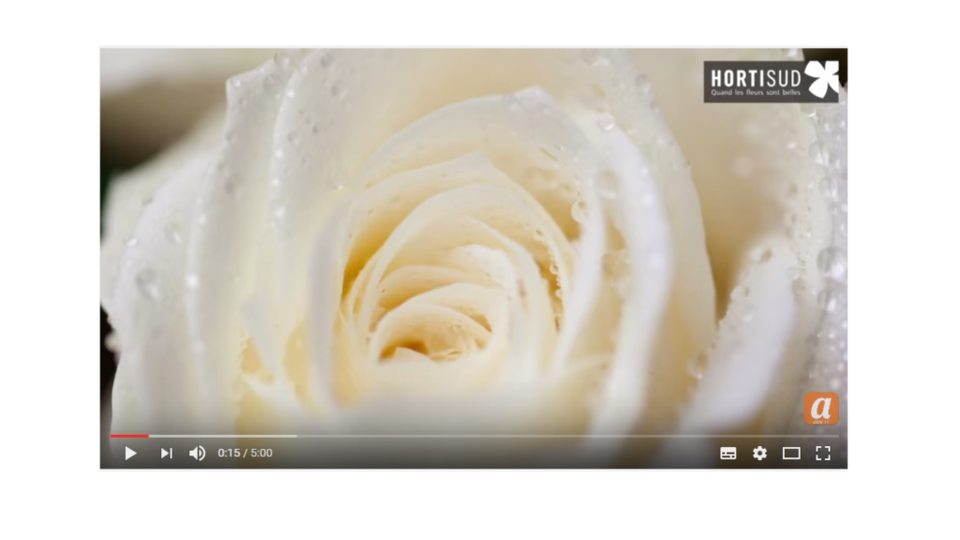 hortisudVideo