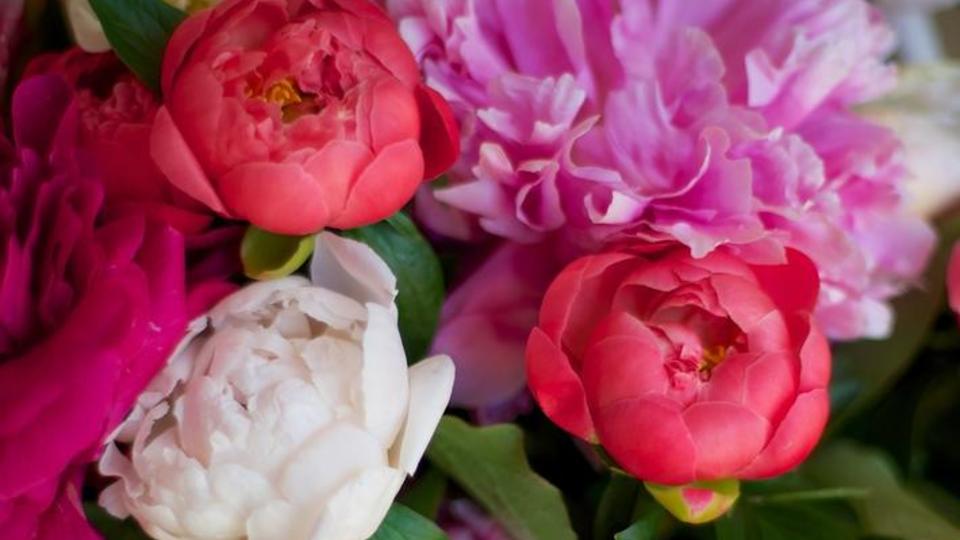 PV_bouquet